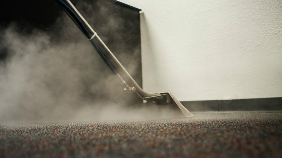 Steam cleaner on carpet